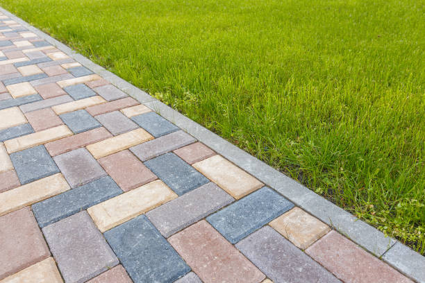 Best Professional Driveway Pavers  in Taft, FL